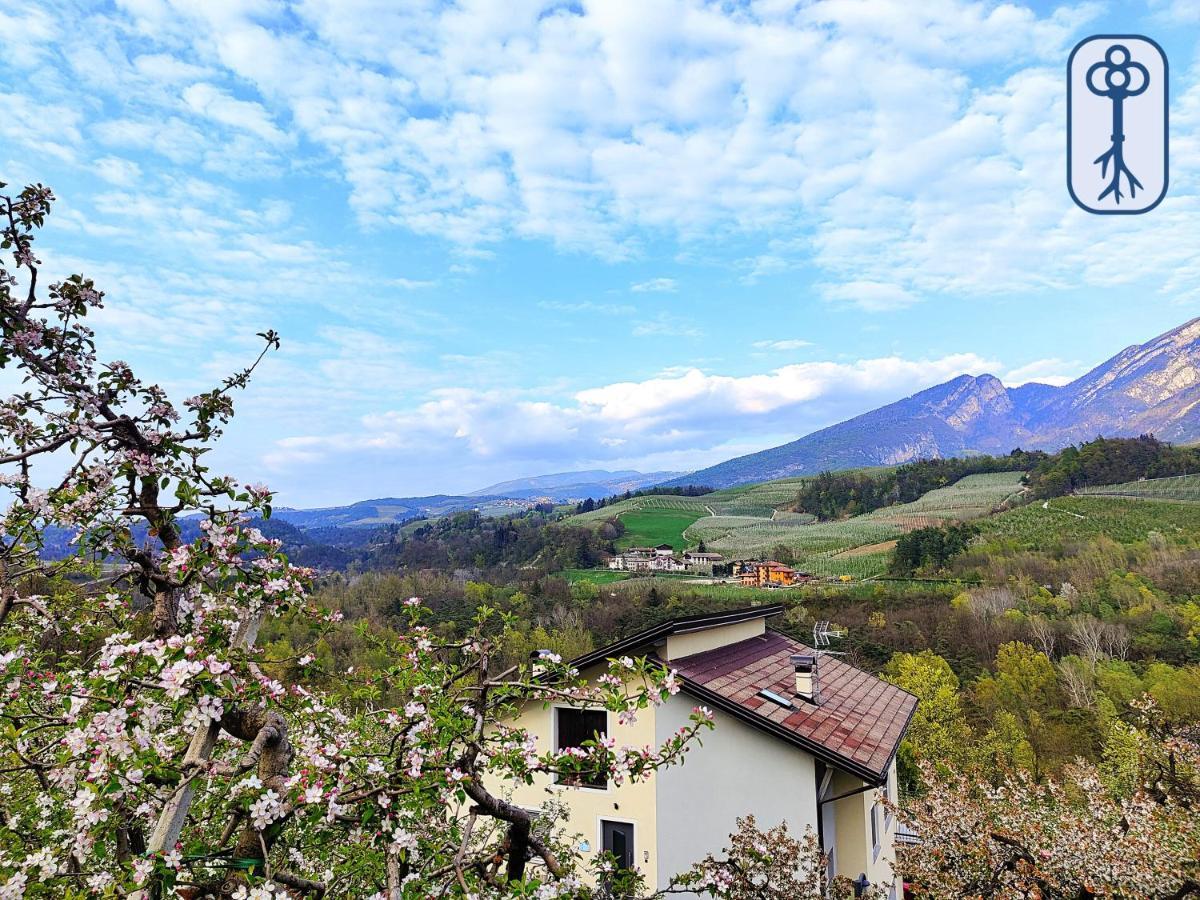 Casa Vacanze Antico Eremo, Tra Natura E Tradizione 캄포데노 외부 사진