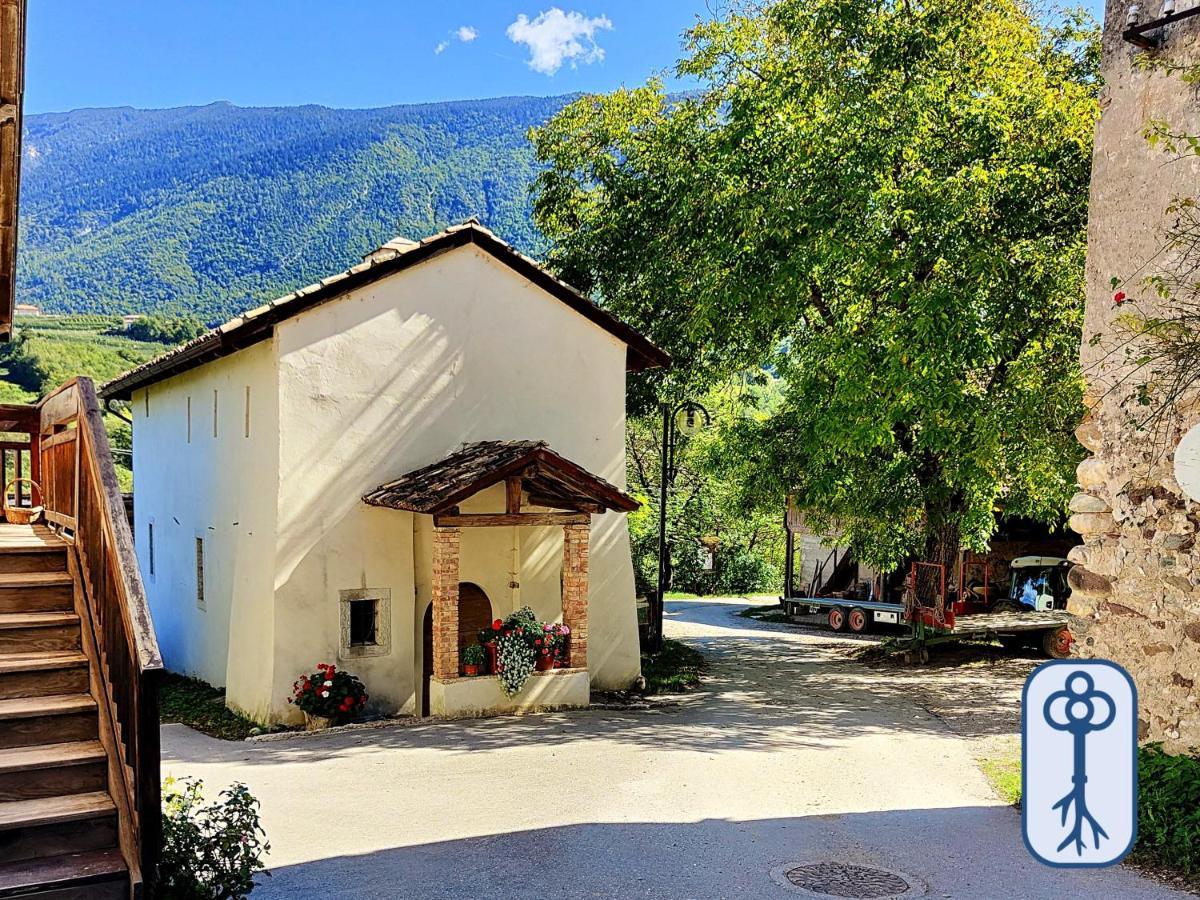Casa Vacanze Antico Eremo, Tra Natura E Tradizione 캄포데노 외부 사진